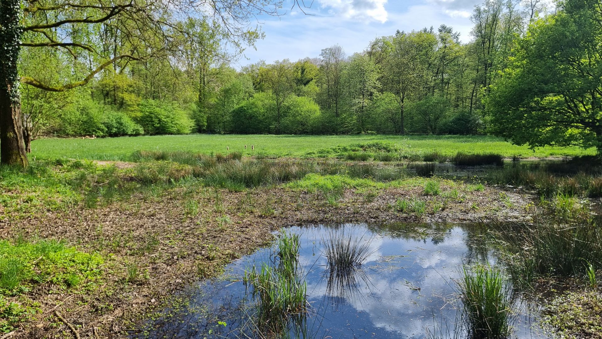 Wiese BUND Gelsenkirchen